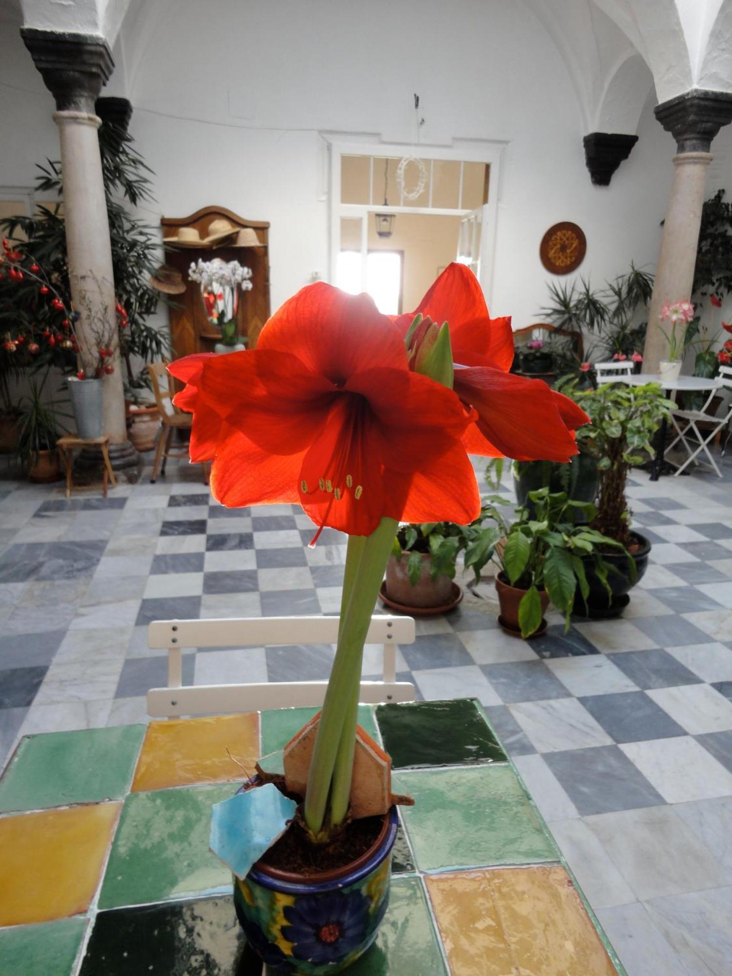 فندق La Casa Grande أركوس ديلا فرونتيرا المظهر الخارجي الصورة